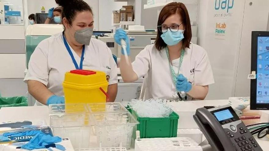 Confirman un caso de viruela del mono en Castellón