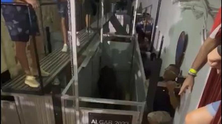 Así fue el incidente con el toro en Algar de Palància