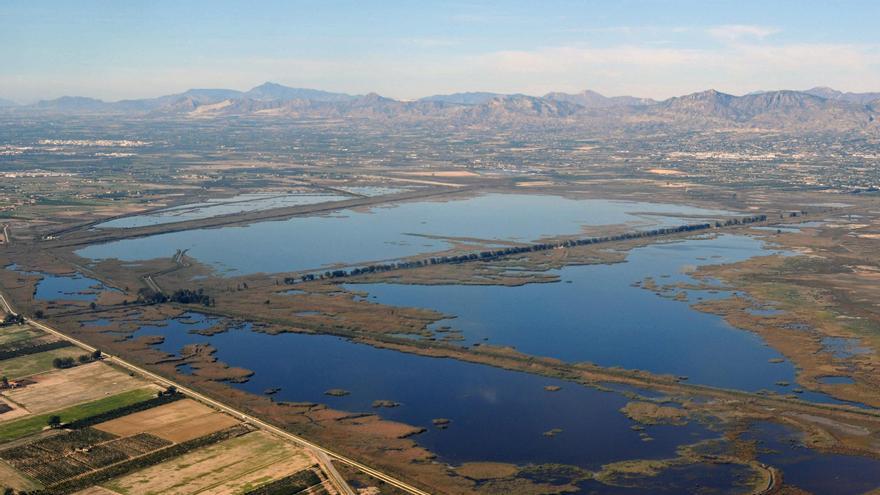 El Fondo d’Elx. Biodiversidad y agricultura de regadío