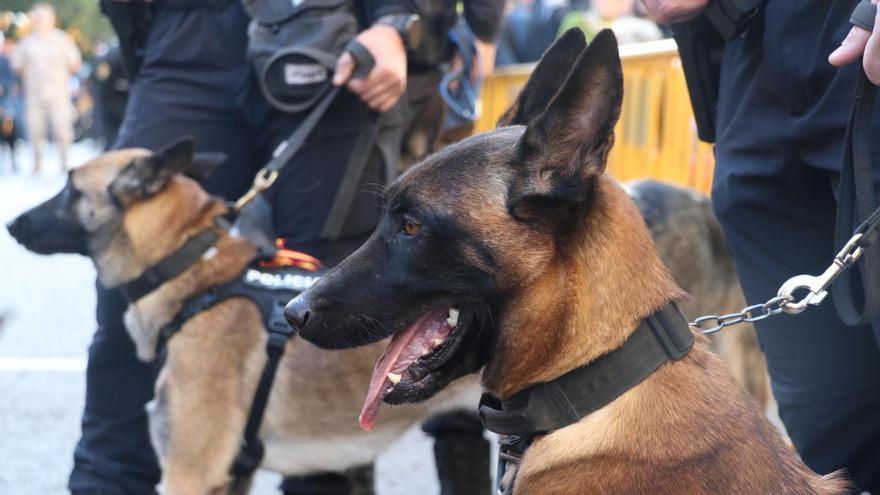 Detenido el gerente de un bar de La Torre por tráfico de drogas