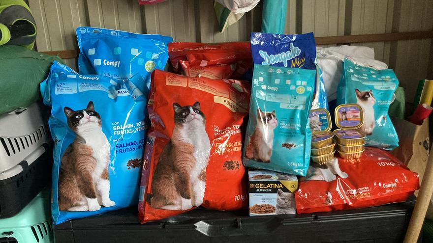 El refugio felino de Carcaixent recibe 100 kilos de comida en sólo tres días