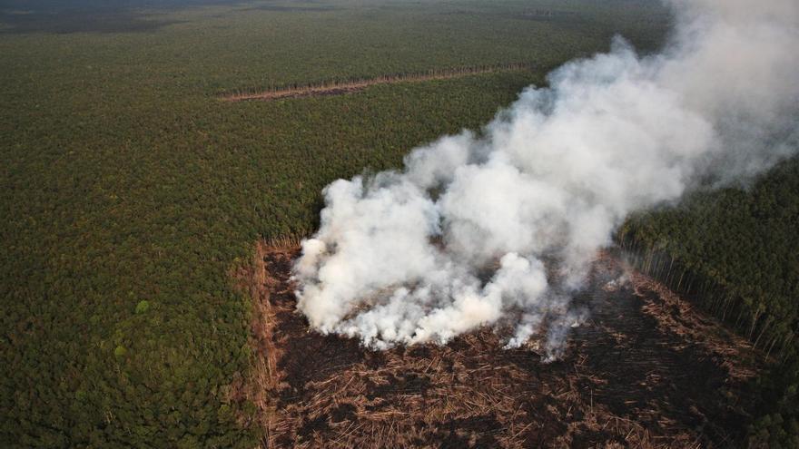 Los incendios de la Amazonía igualan el récord de 2007: más CO2 a la atmósfera