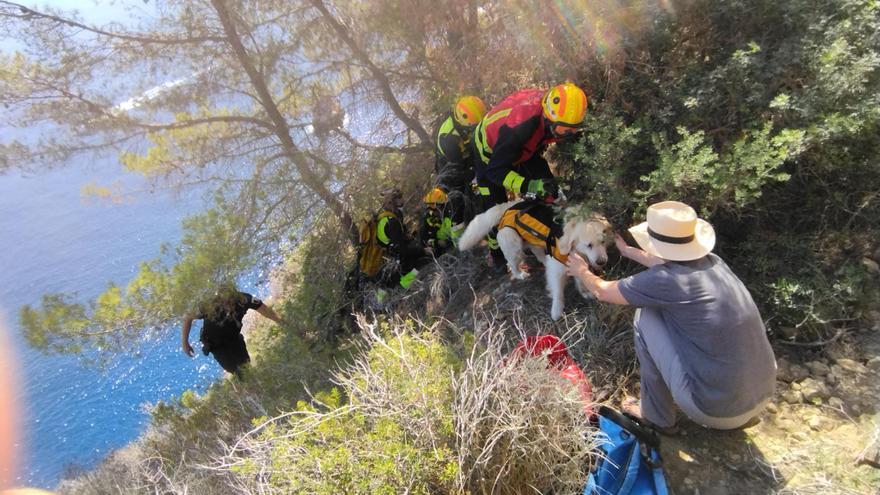 Las imágenes del rescate del perro que ha caído de 30 metros en el acantilado de Xàbia