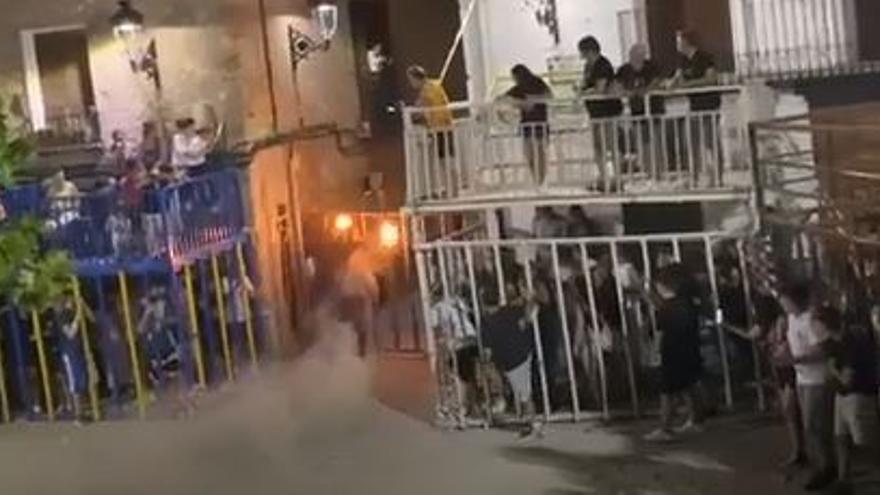 Impresionante embestida en Algar de Palància