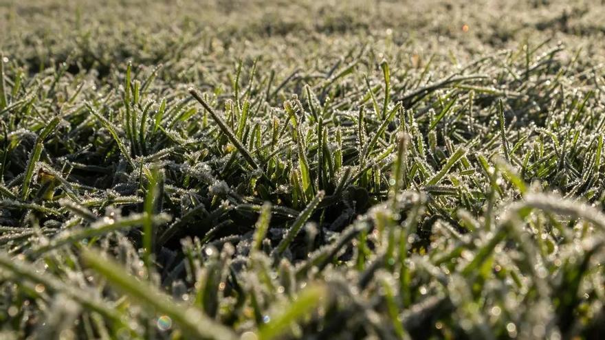 Los termómetros llegan a -0,6 grados en el interior antes del fin del verano