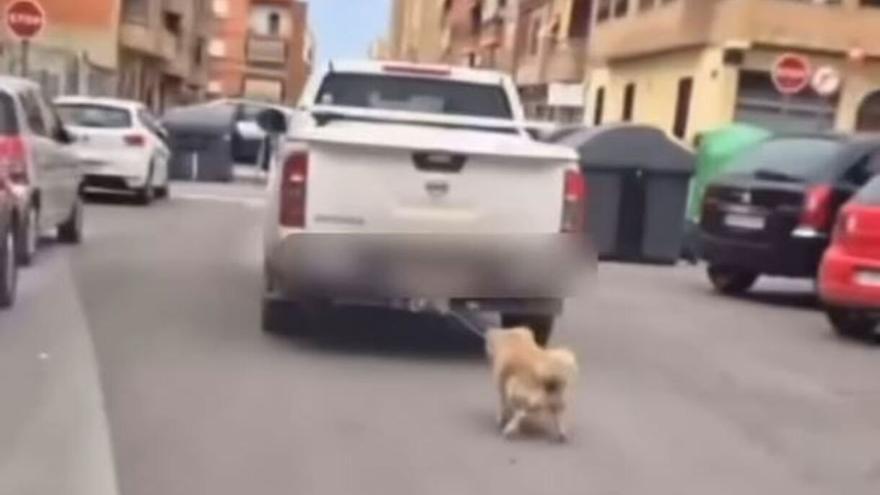 Un perro recorre atado en un parachoques varias calles de Paterna