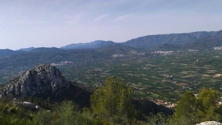 Al norte, arroz; al sur, naranjos: las coordenadas del paisaje agrícola desde la cima de Segària (imágenes)